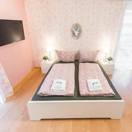 Apartment Wohlfuhl-apartment Freiburg Stadt *